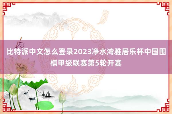 比特派中文怎么登录2023净水湾雅居乐杯中国围棋甲级联赛第5轮开赛